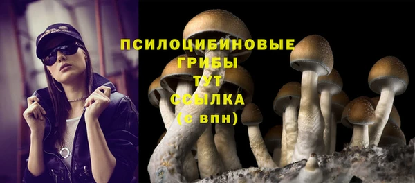 амф Вязники