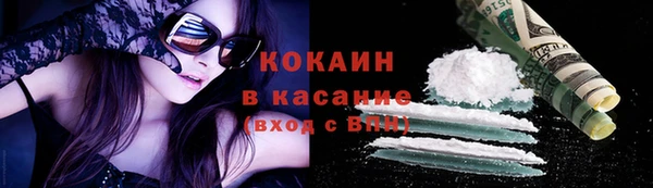 дурь Вяземский