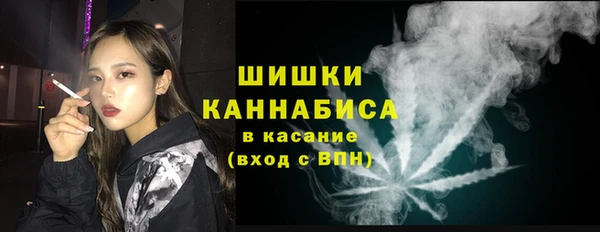 индика Вязьма