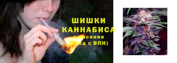 индика Вязьма
