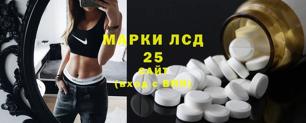 индика Вязьма
