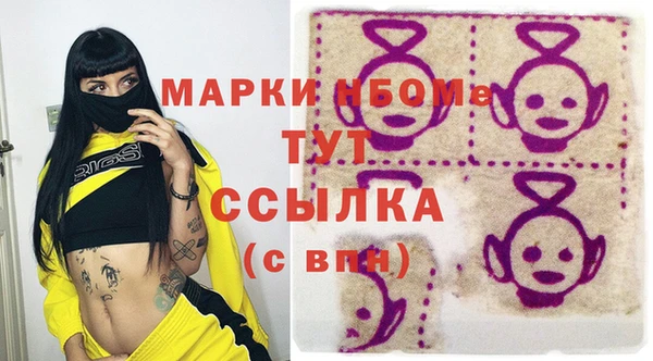индика Вязьма