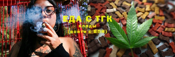индика Вязьма