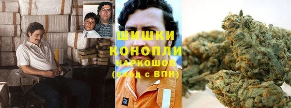 индика Вязьма