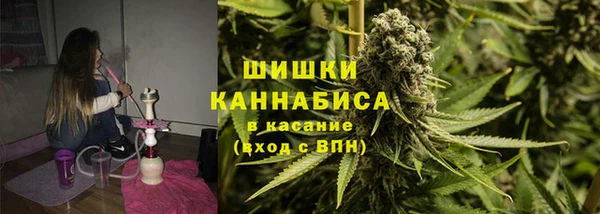 индика Вязьма