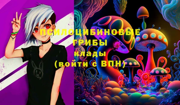 дурь Вяземский