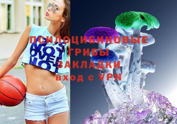 дурь Вяземский